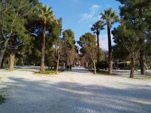 Alsos Kifisias Park (Kifissia, Athens)