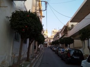 Athens: A City Where Orange Trees Line the Streets