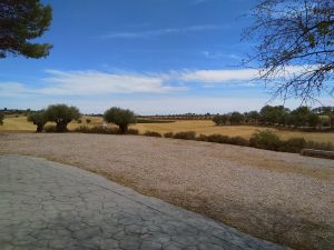 View over Open Fields (Mondéjar, Spain)