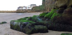 Lovely Green Rocks on the Beach at Whitby