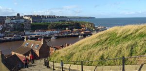 View of Whitby Town and Harbour (Taken from the 199 Abbey Steps)