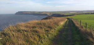 Cliff-top track on the Cleveland Way (Saltburn to Skinningrove)