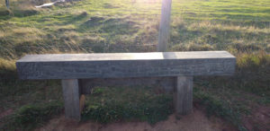 Wooden Bench with Debi Gliori Quote Carved Into It
